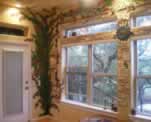Wall Plant and Vine